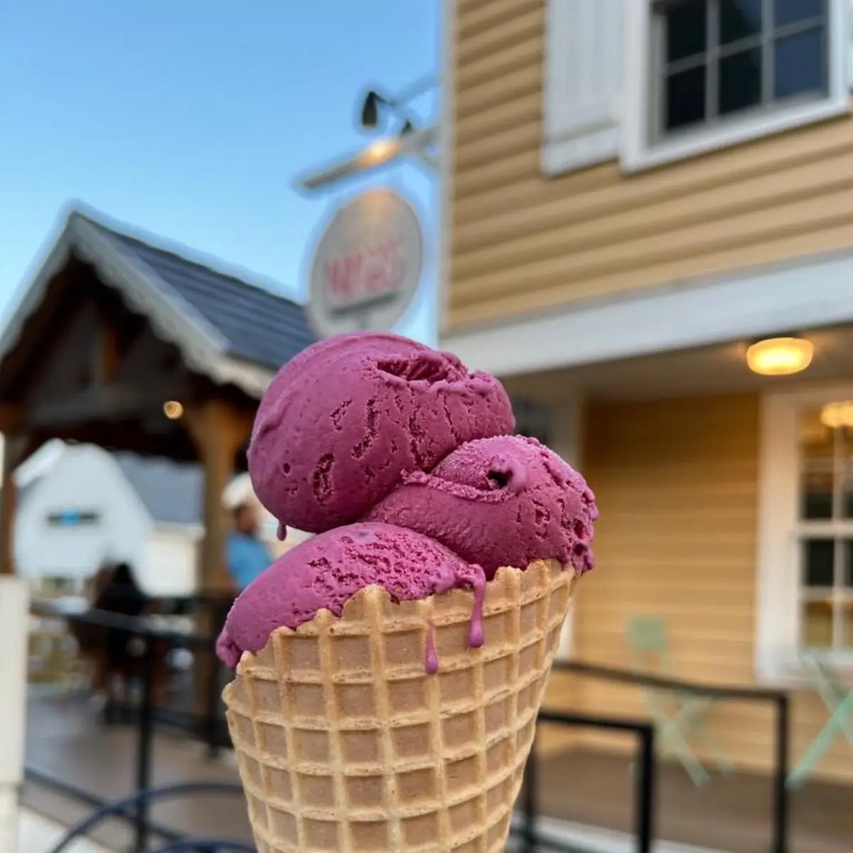 Black Currant Ice Cream Cone