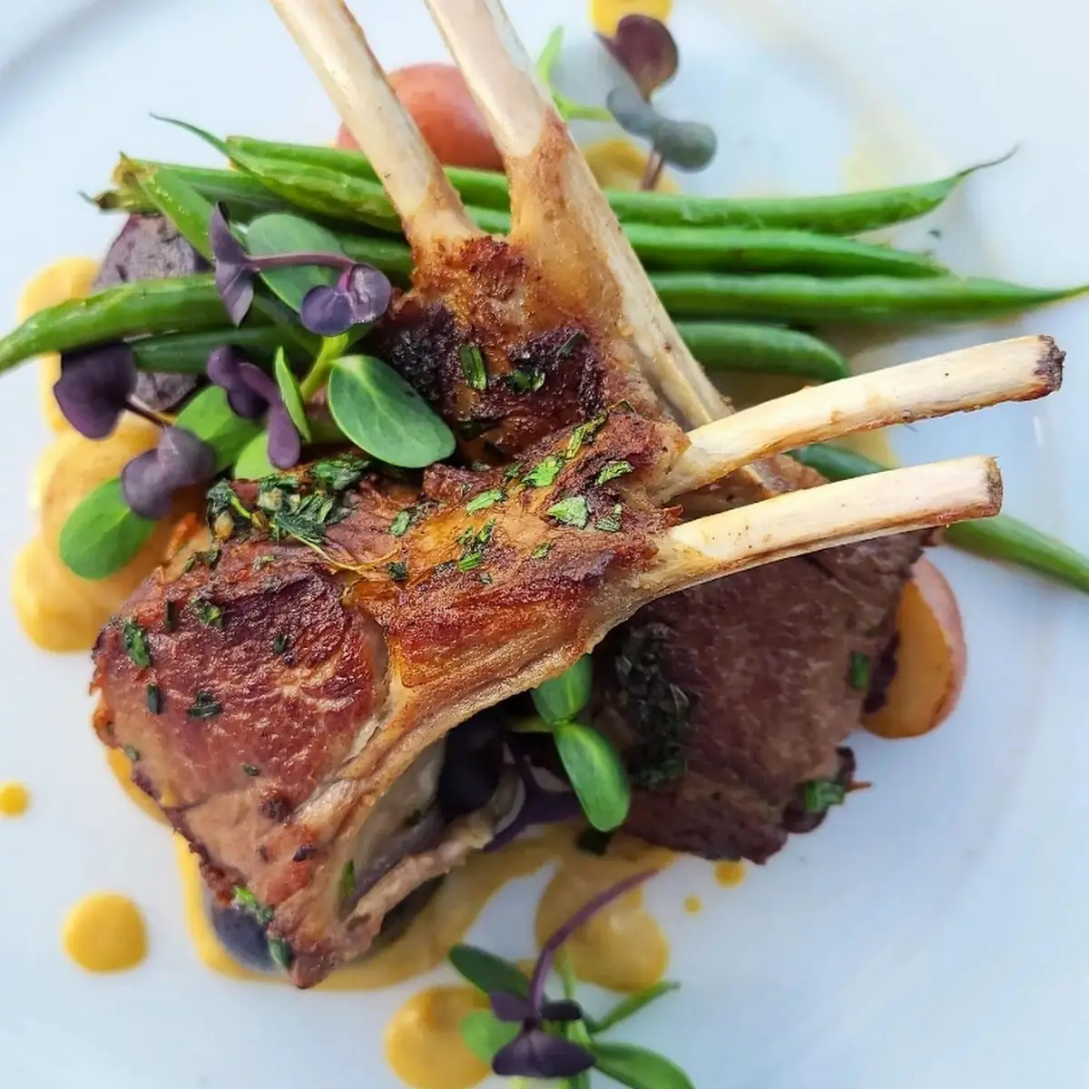 Herb Crusted Rack of Lamb