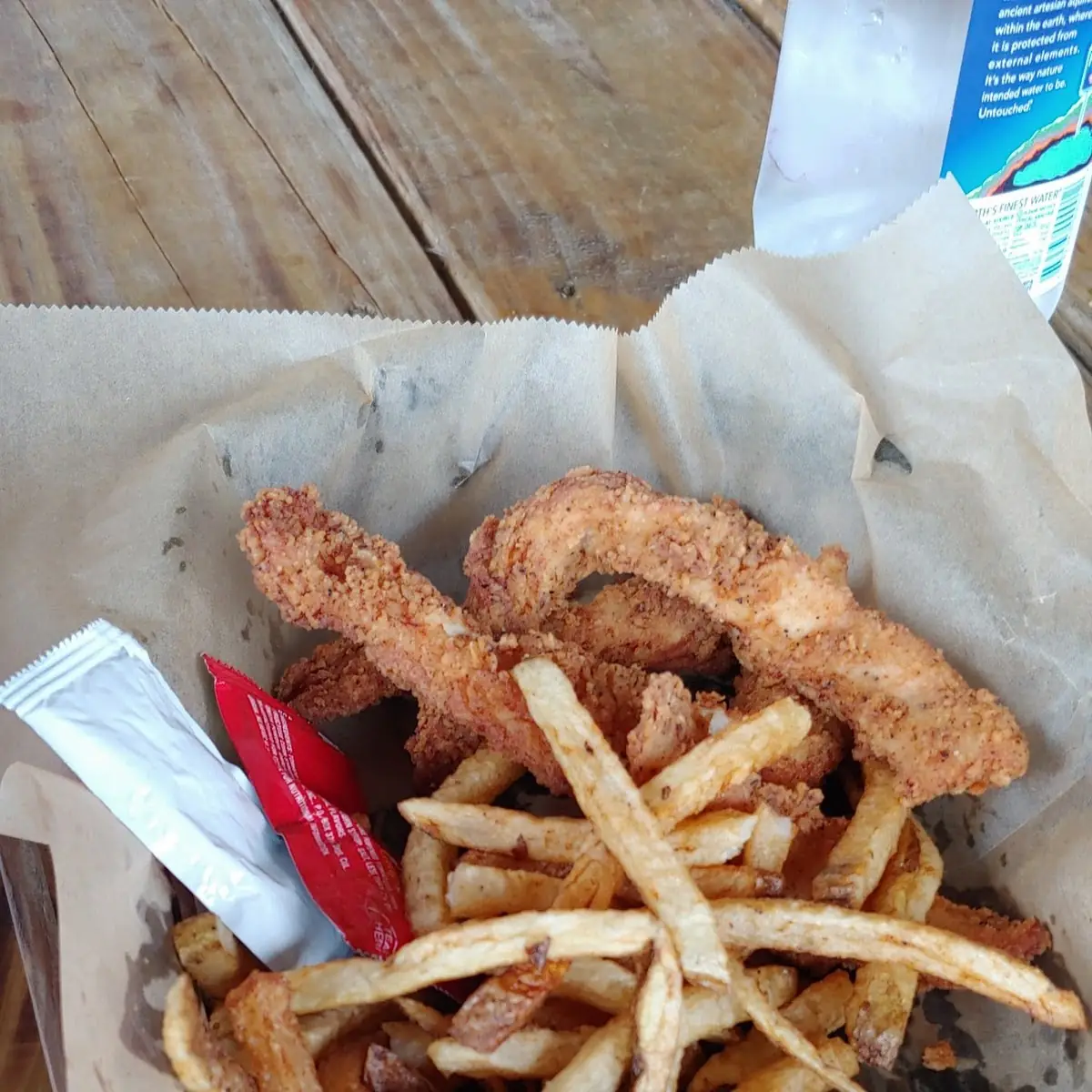 Kids Chicken Tender