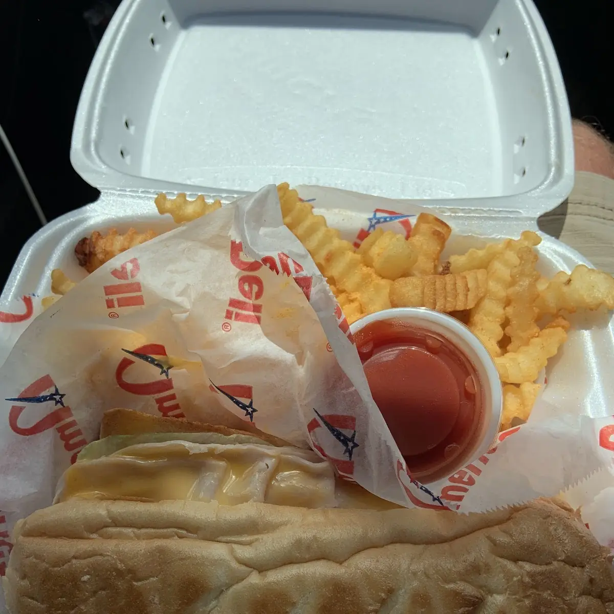 Ham and Cheese Sub with Fries