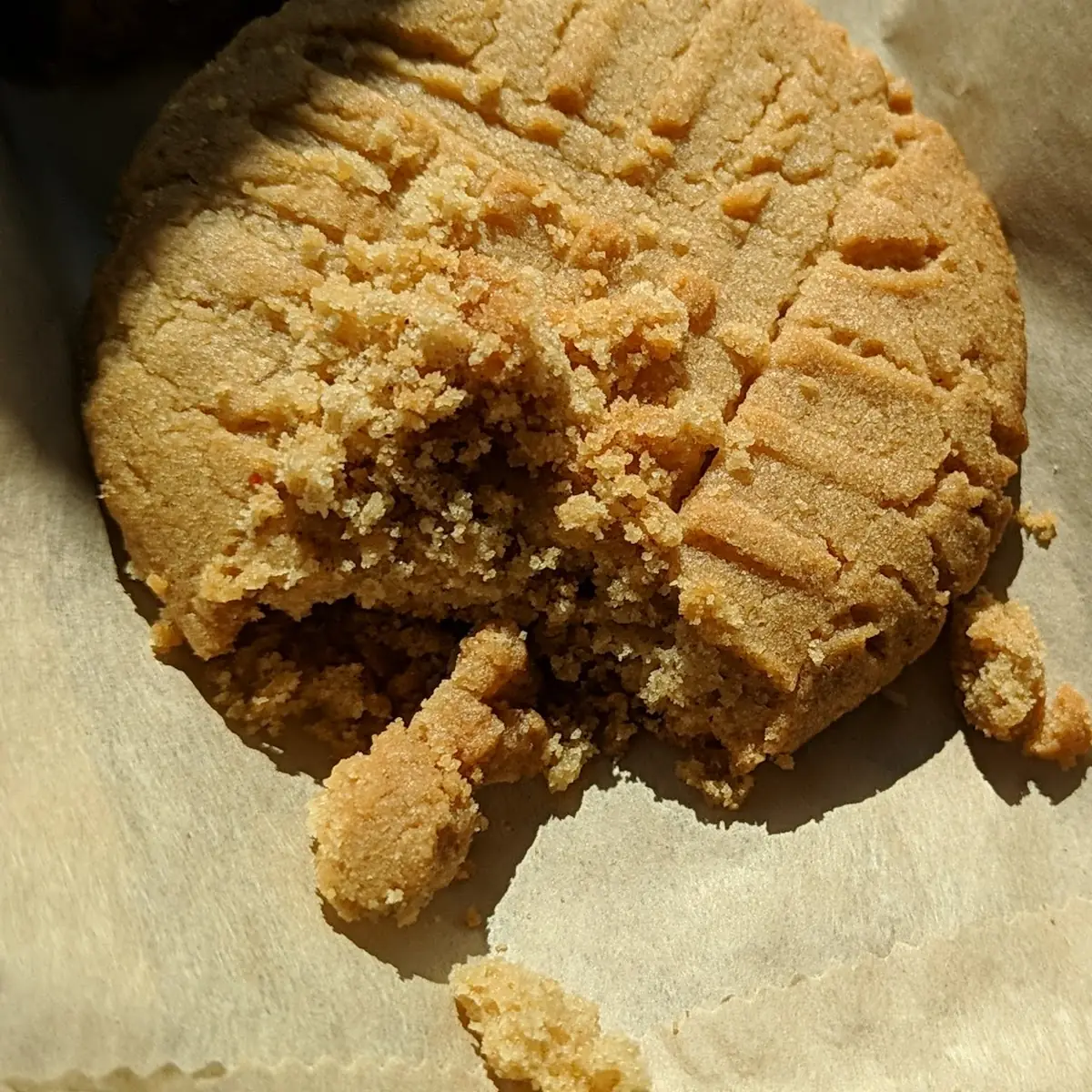 Peanut Butter Cookie