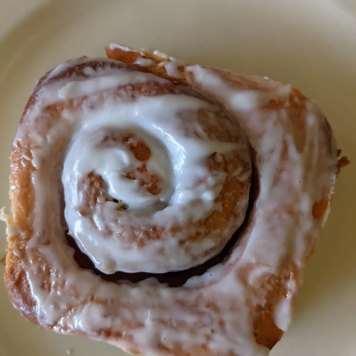Cinnamon Roll
