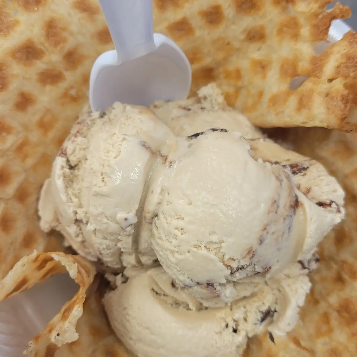 Gelato