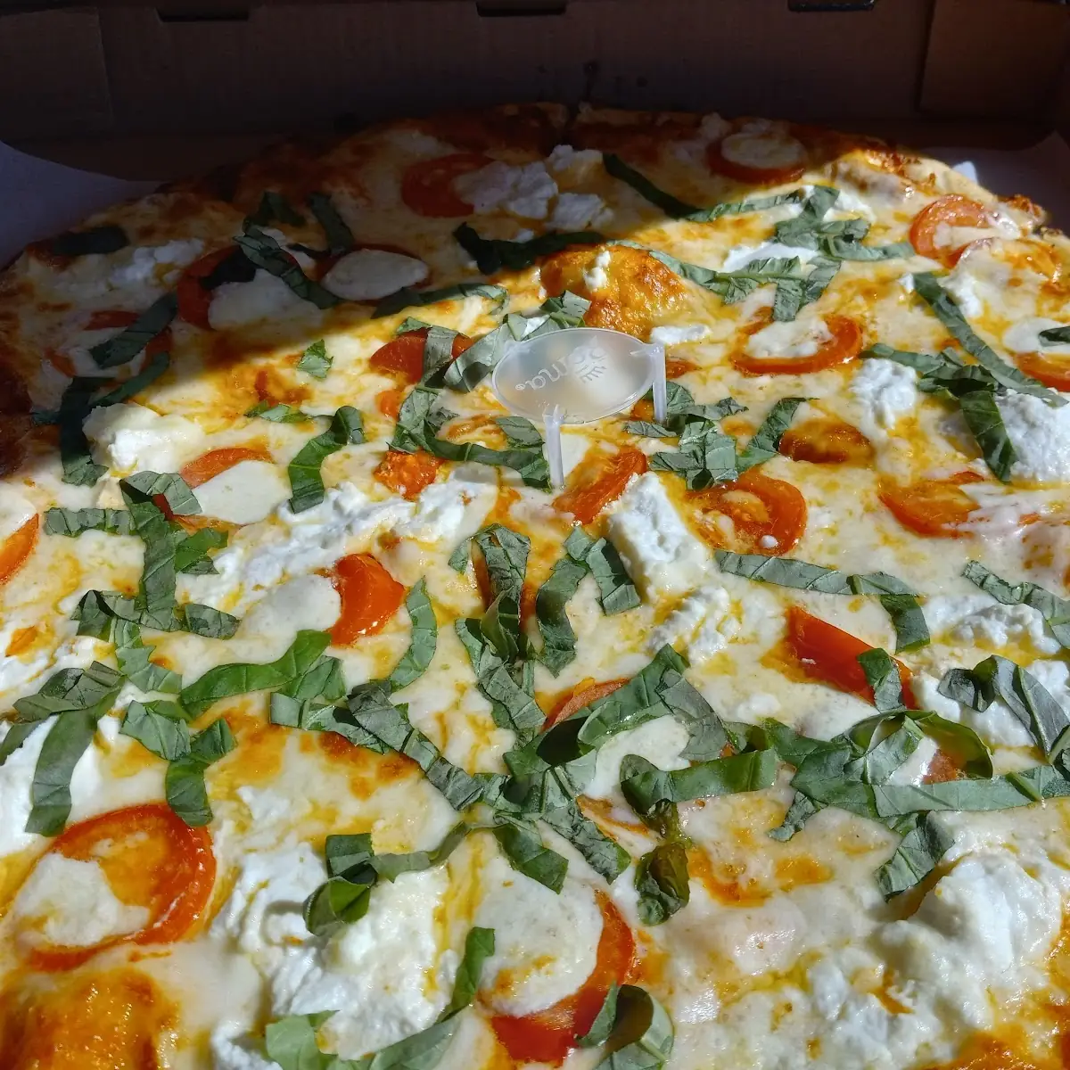 Margherita Pizza