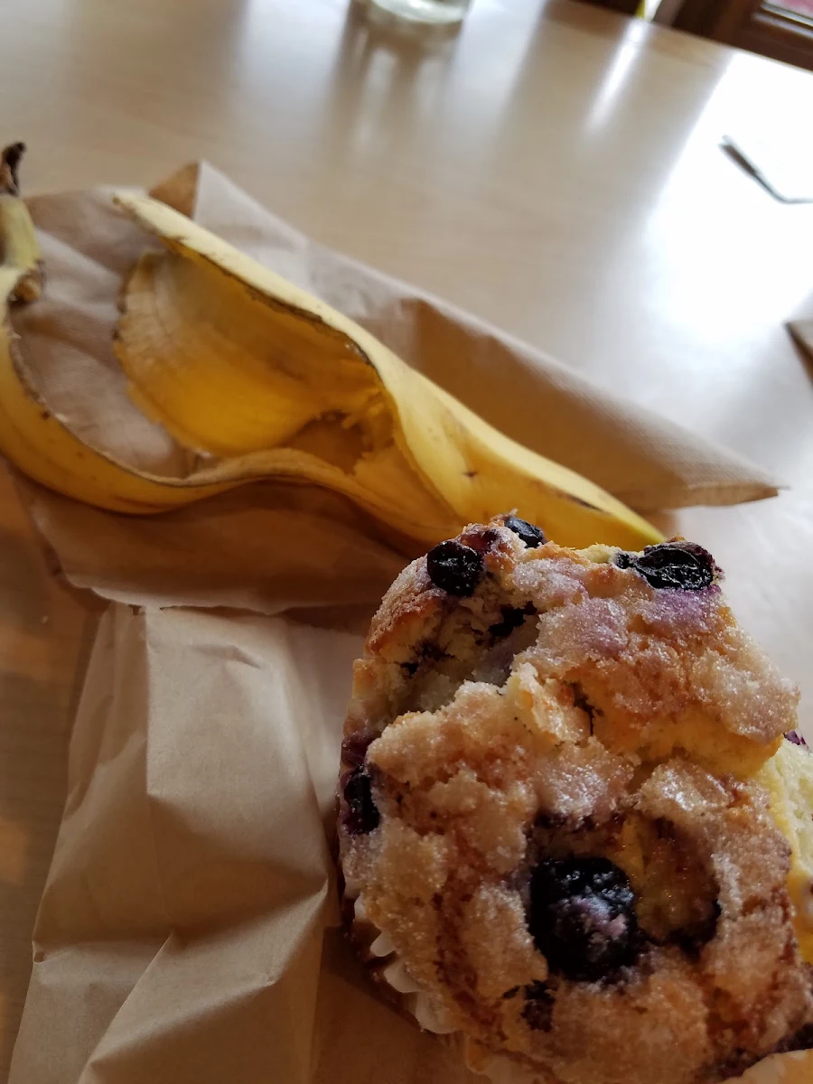 Blueberry Muffin