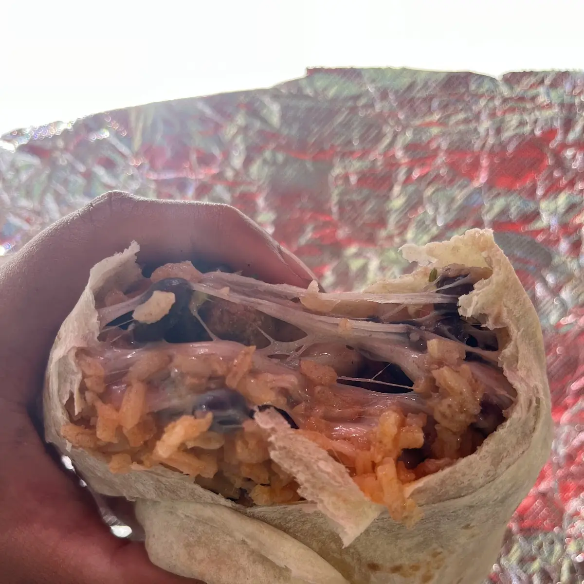 Carnitas Burrito