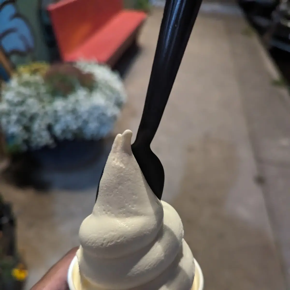 Soft Serve Plain Pint