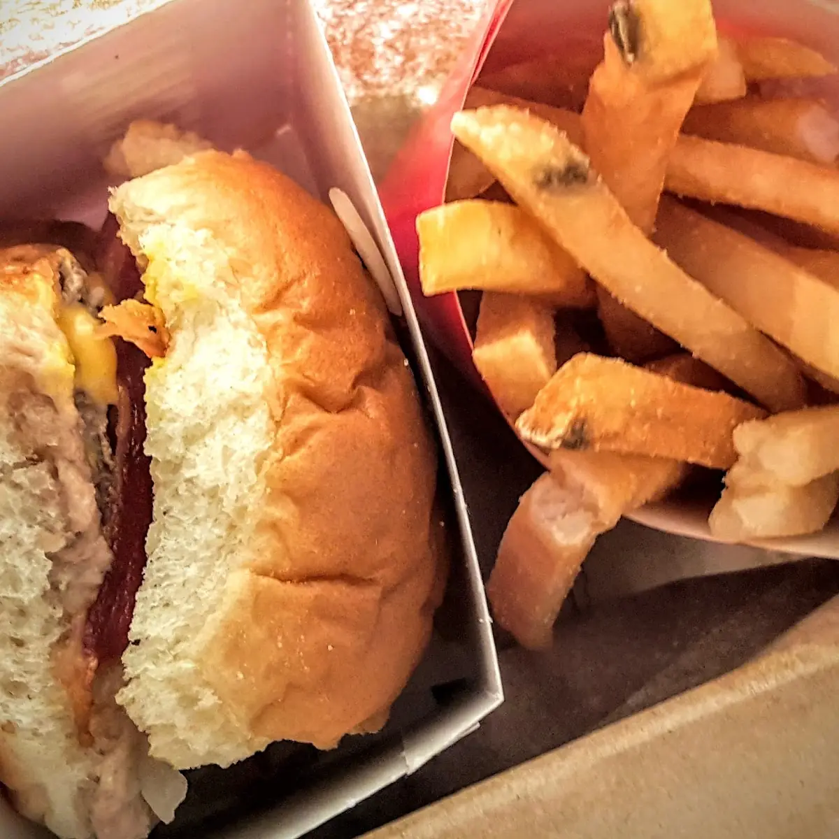 Cheese Burger with Fries