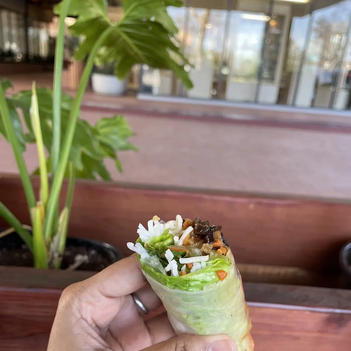Veg Spring Rolls