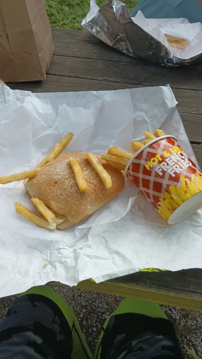 Chicken Sandwich with Fries