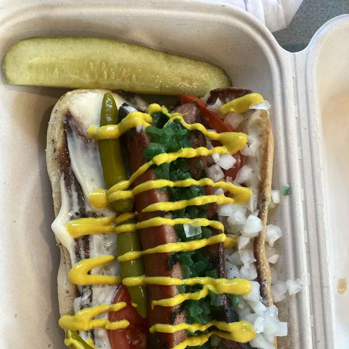 Chicago Dog