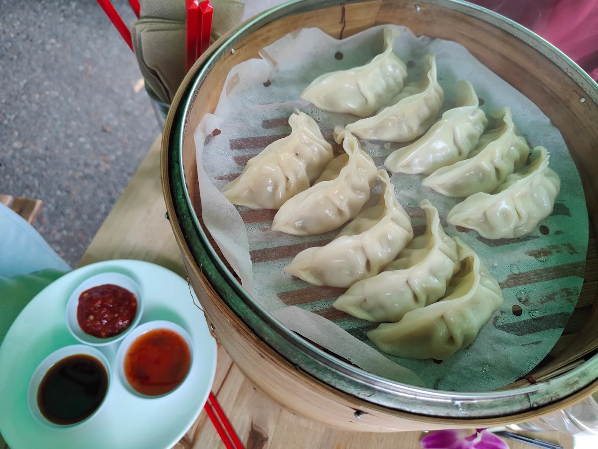 Chicken Dumplings