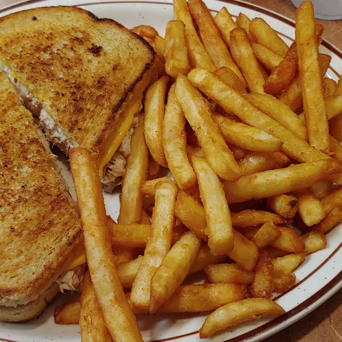 Tuna Melt and Fries