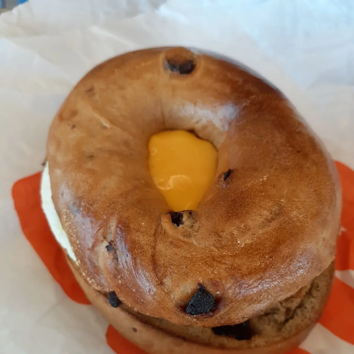 Cinnamon Raisin Bagel