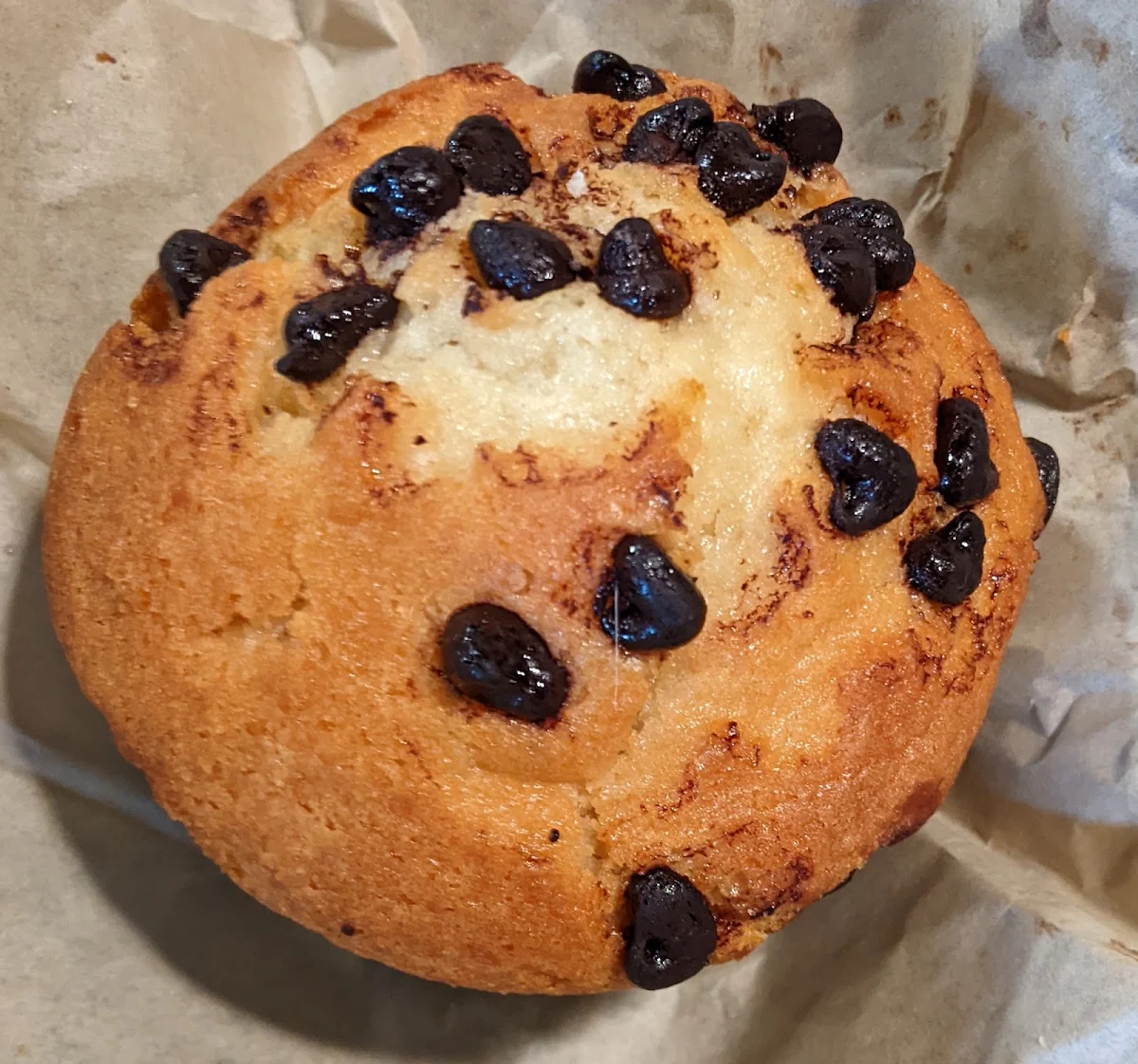 Vanilla Chip Muffin