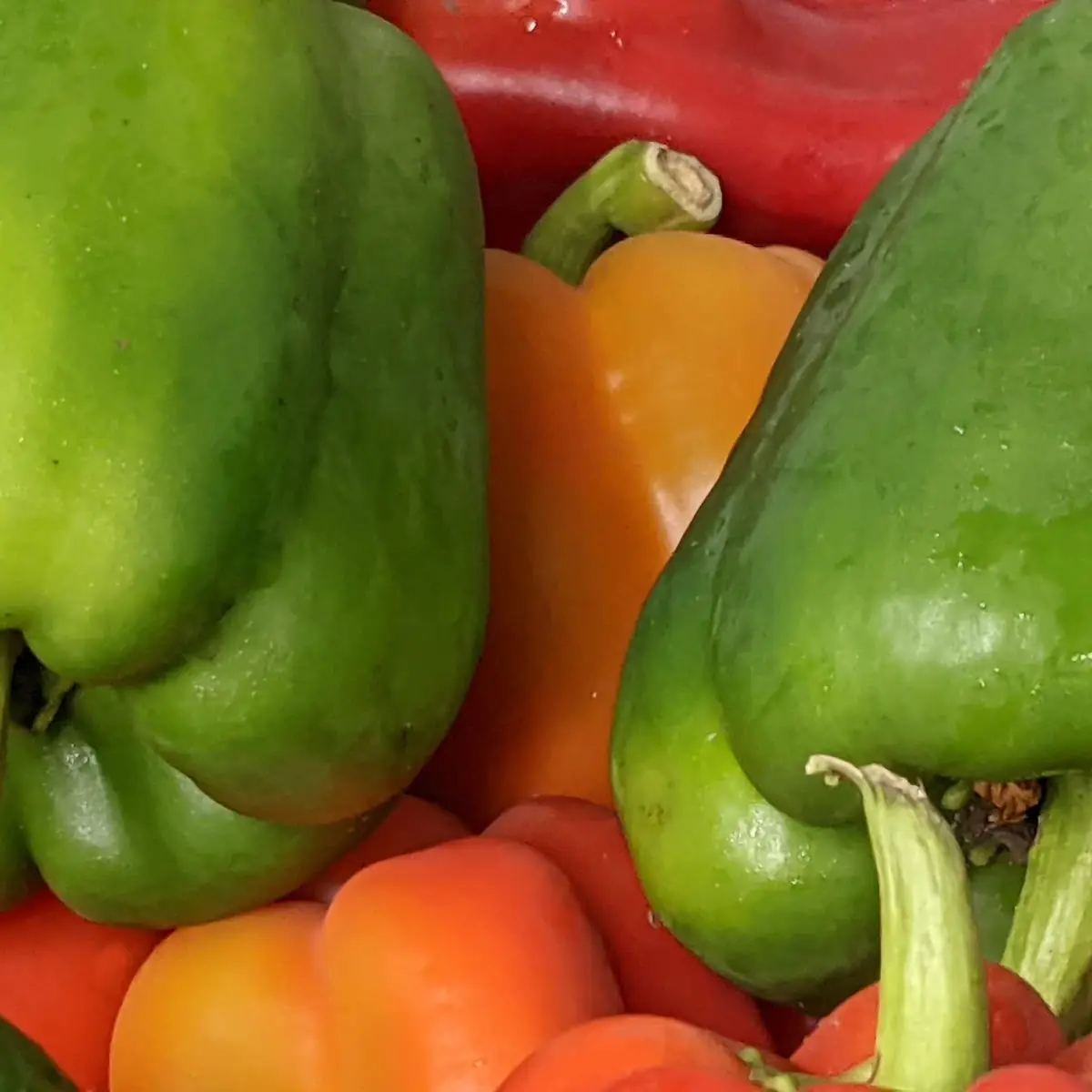Bell Pepper