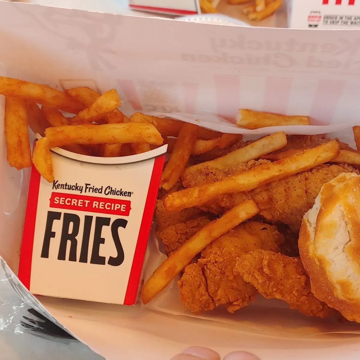 Chicken Strip Meal