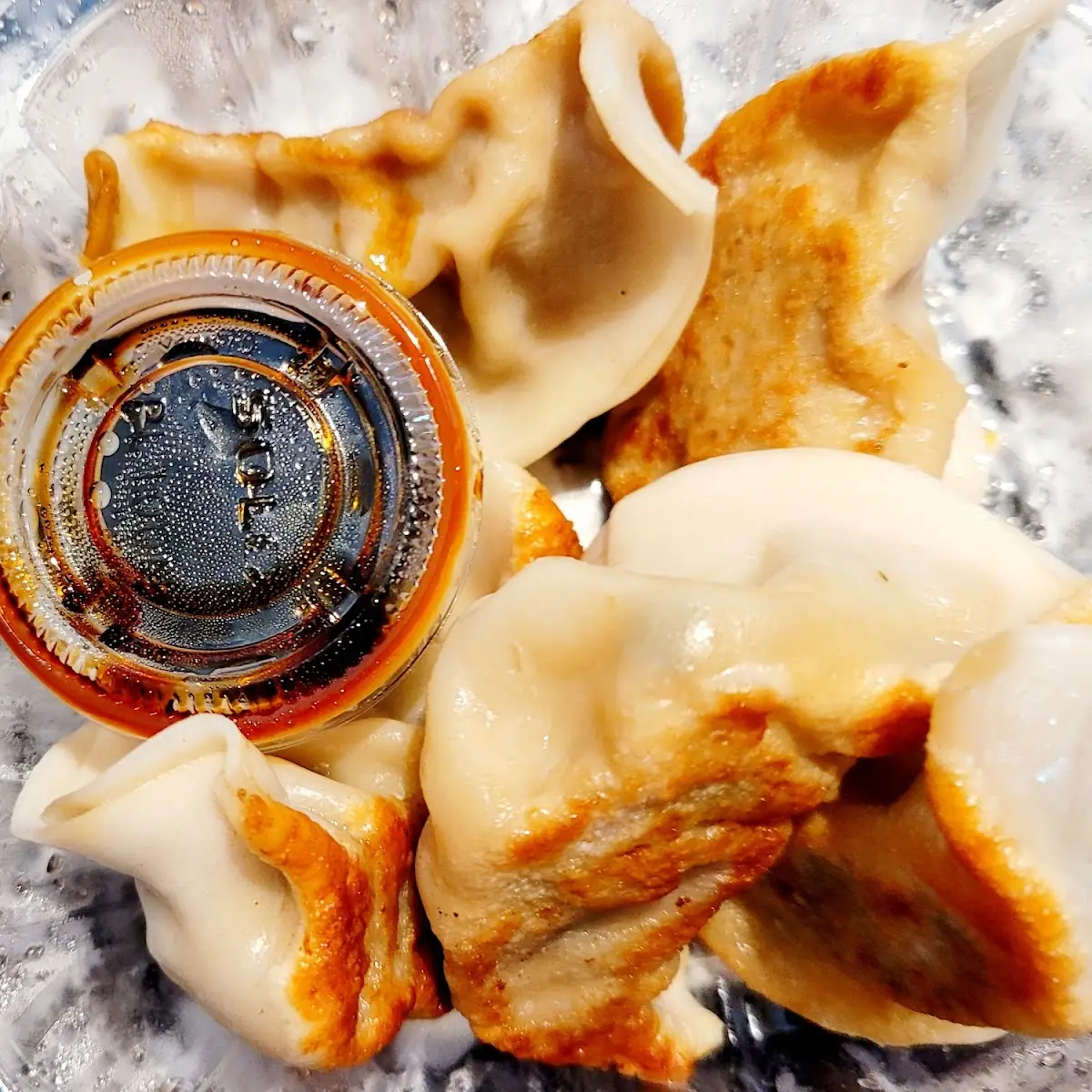 Fried Dumplings