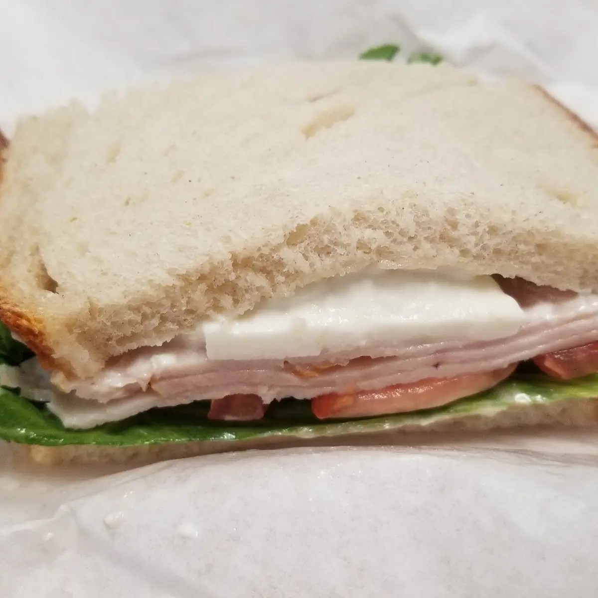 Half Turkey and Mozzarella Sandwich
