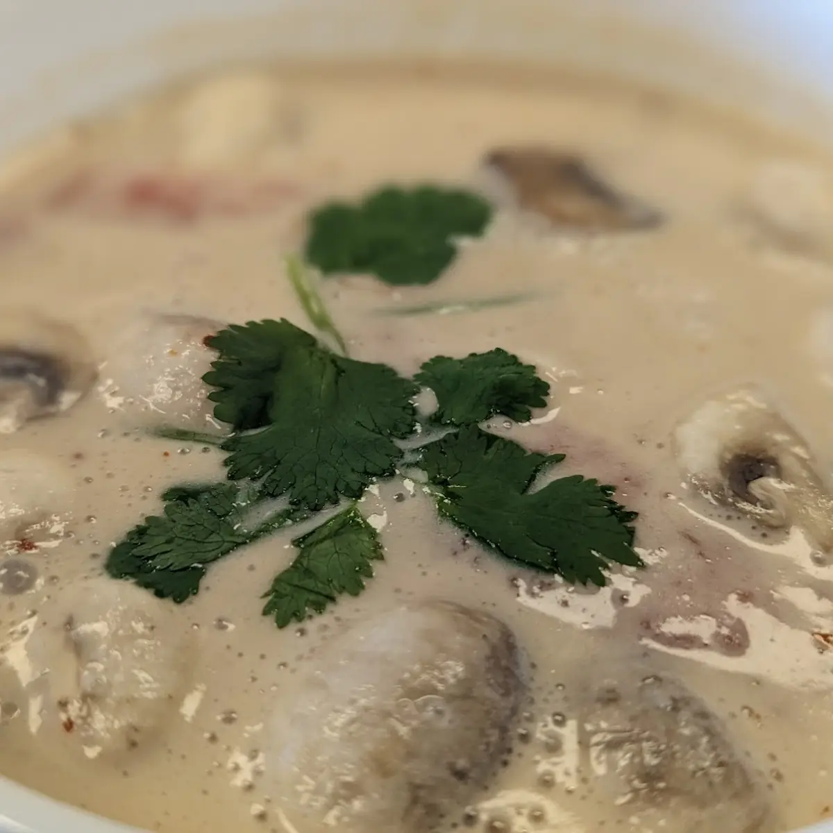 Tom Kha Soup