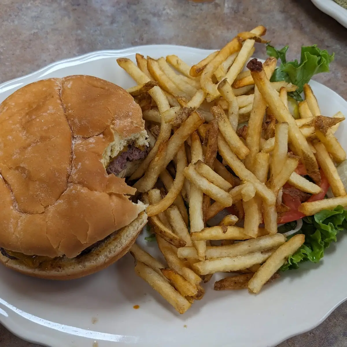 Bison Burger