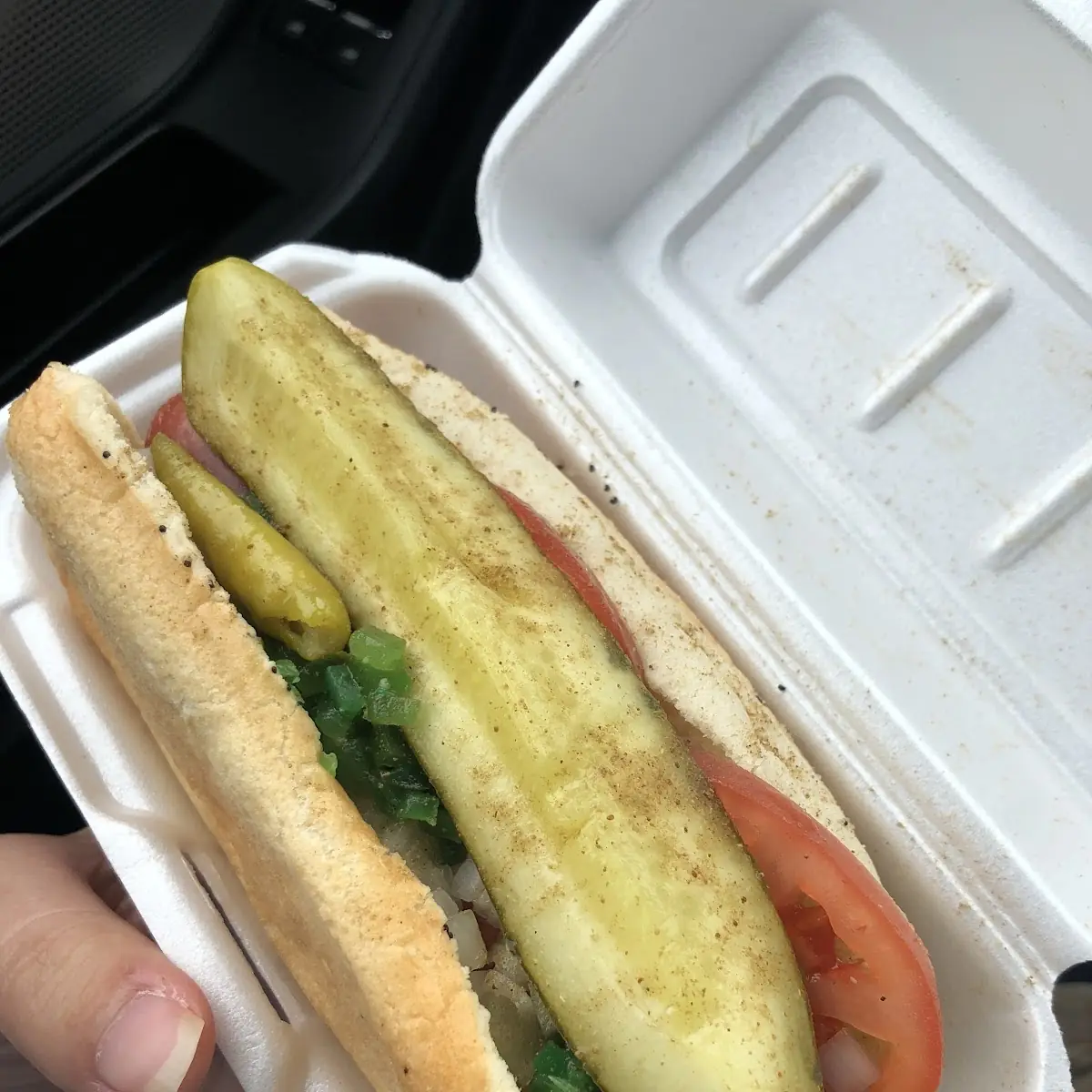 Chicago Dog