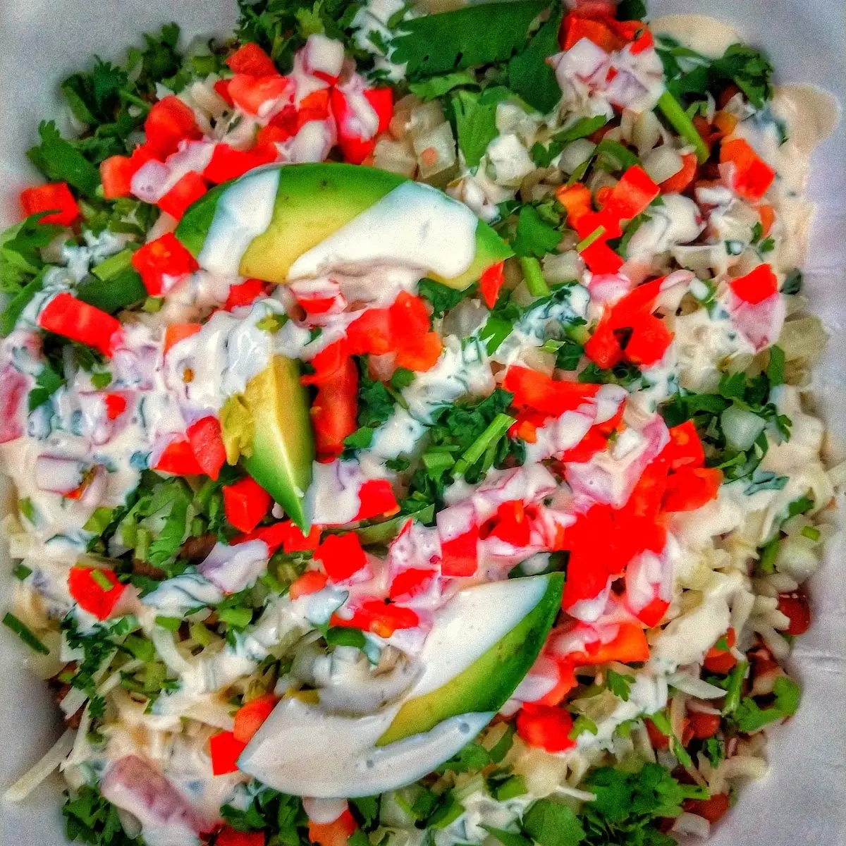 Burrito Bowl