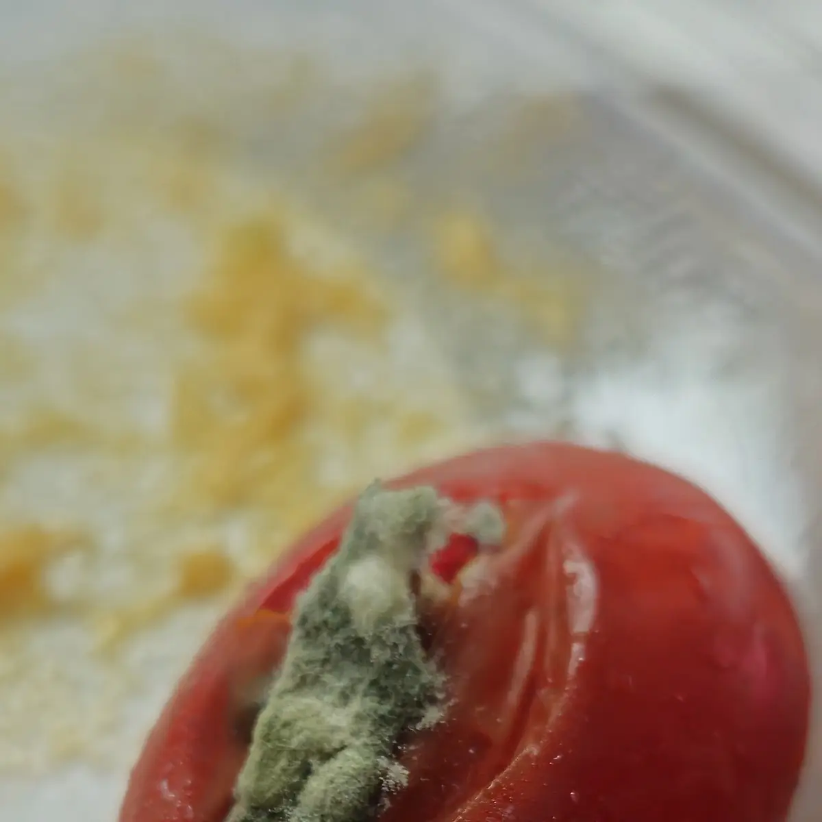 Salad with Chicken Salad