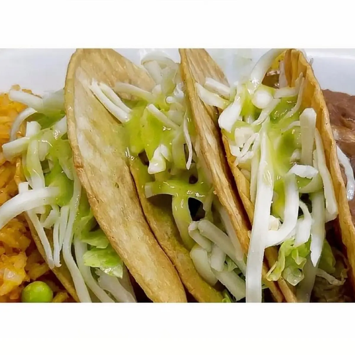 Taco Enchilada Tamal