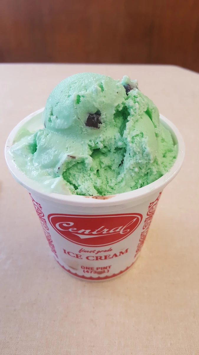 Mint Chocolate Chip