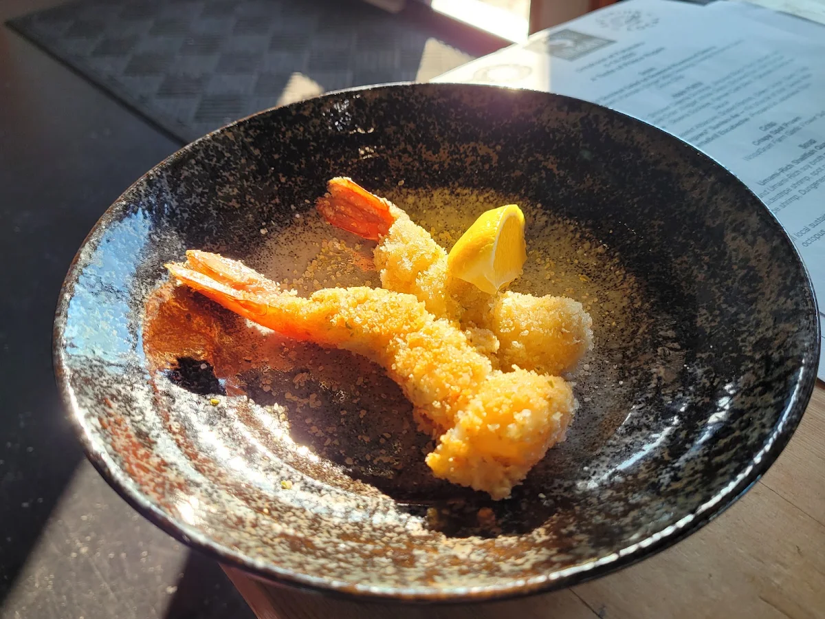 Spot Prawn