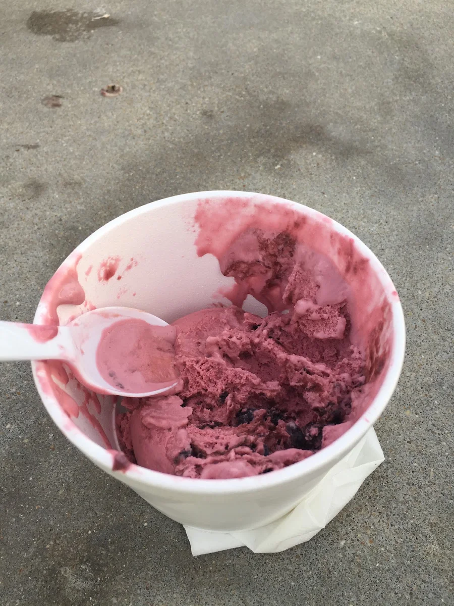 Black Cherry Ice Cream