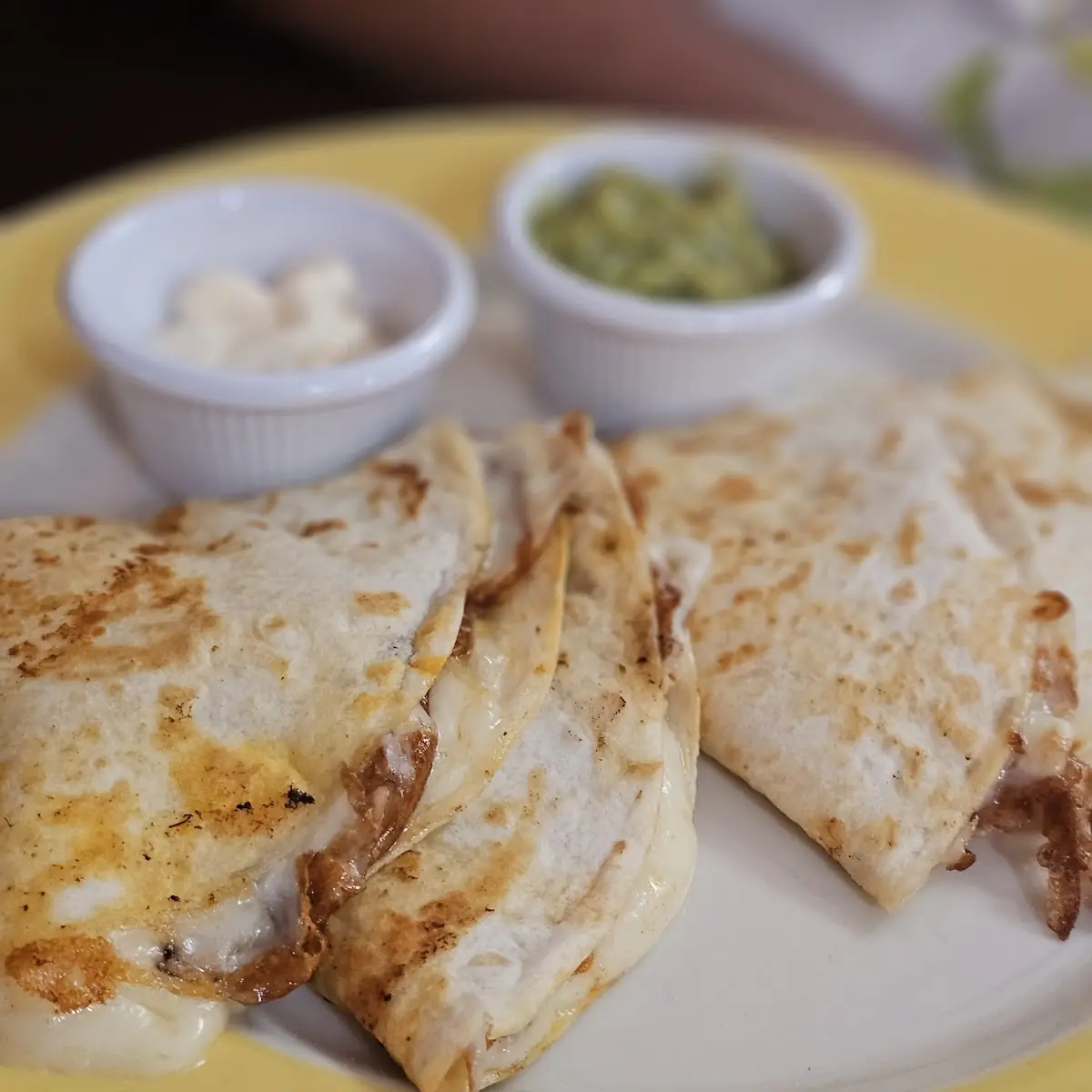 Birria Quesadilla