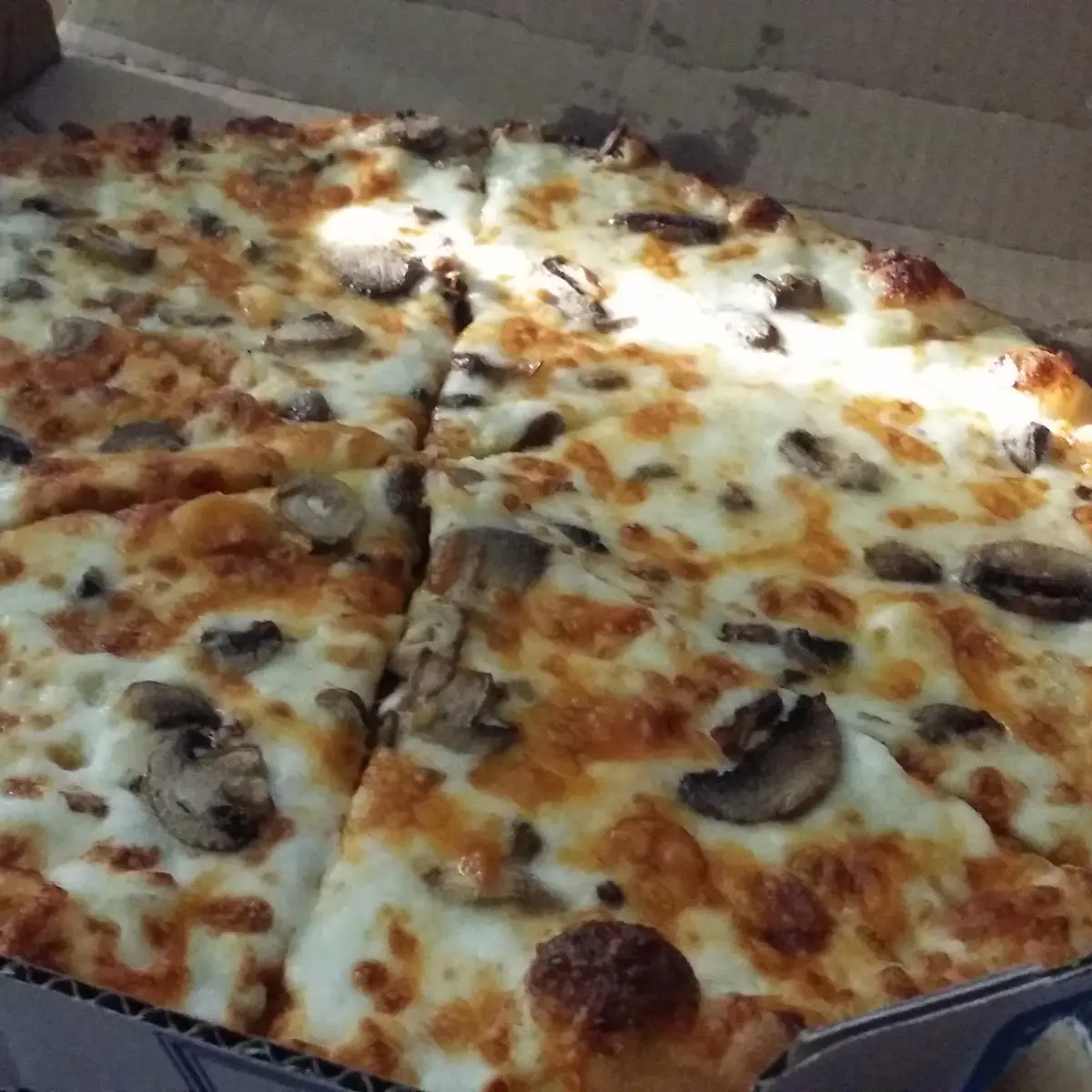 Mushroom Pizza