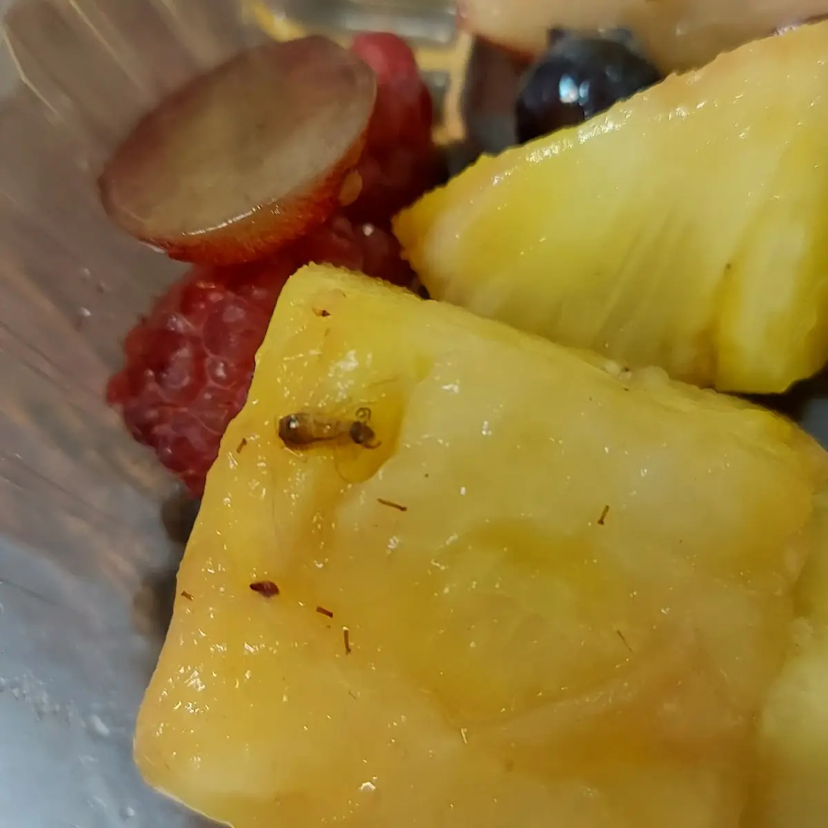 Fruit Cup