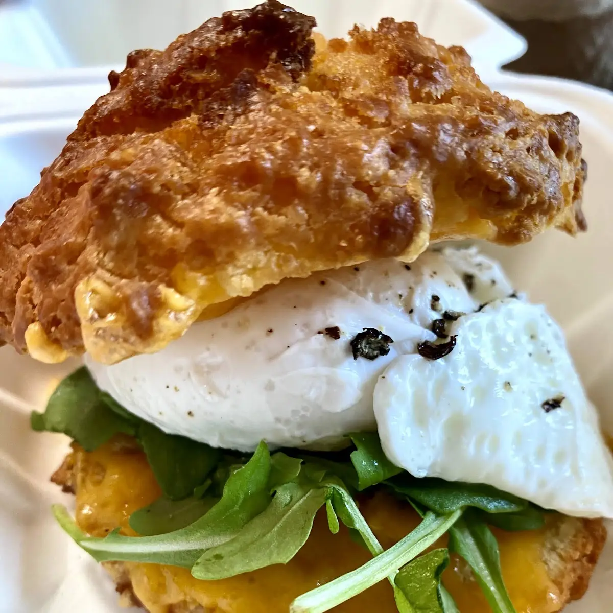 Breakfast Sandwich Special