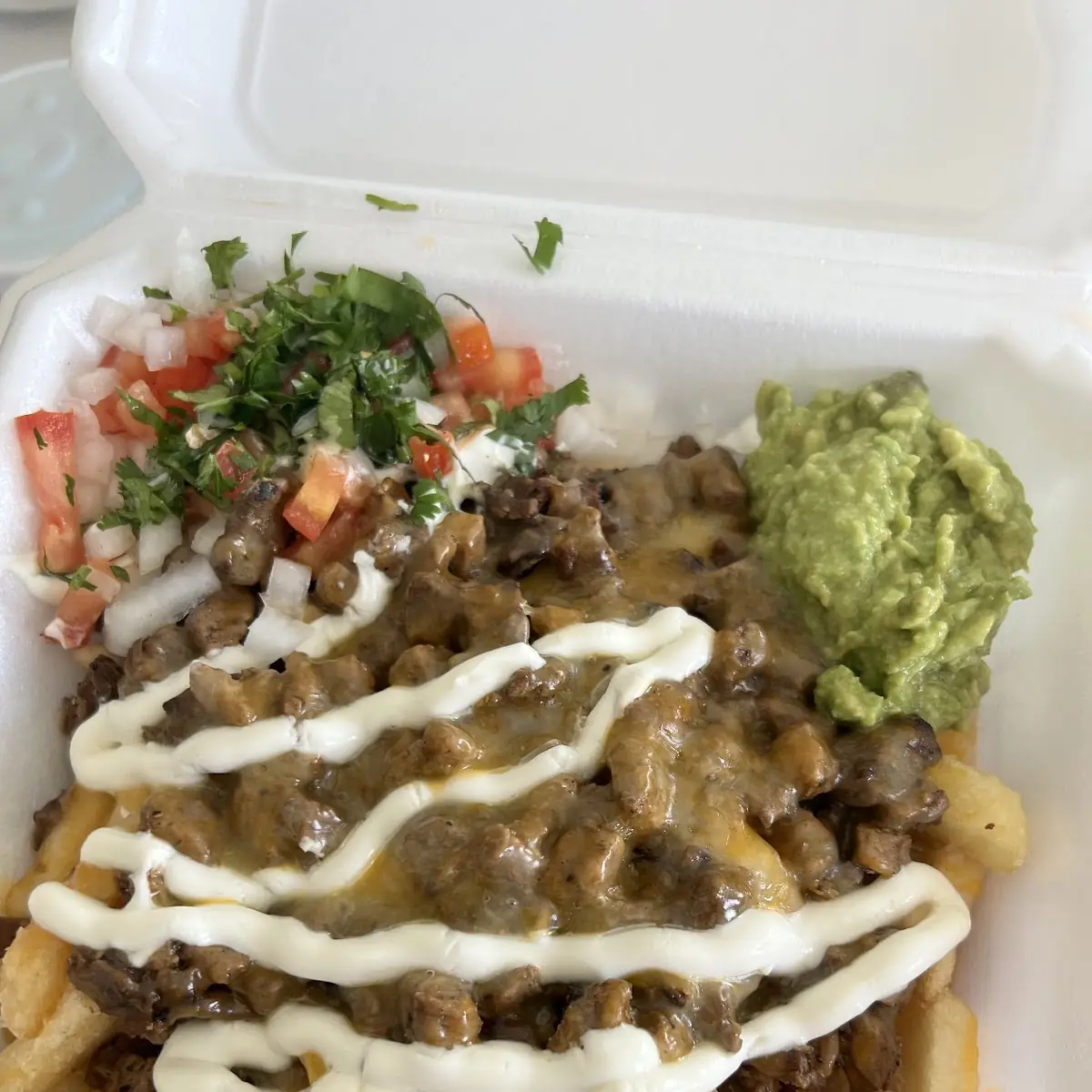 Carne Asada Fries