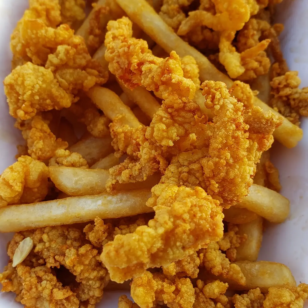 Clam Strips & Oysters