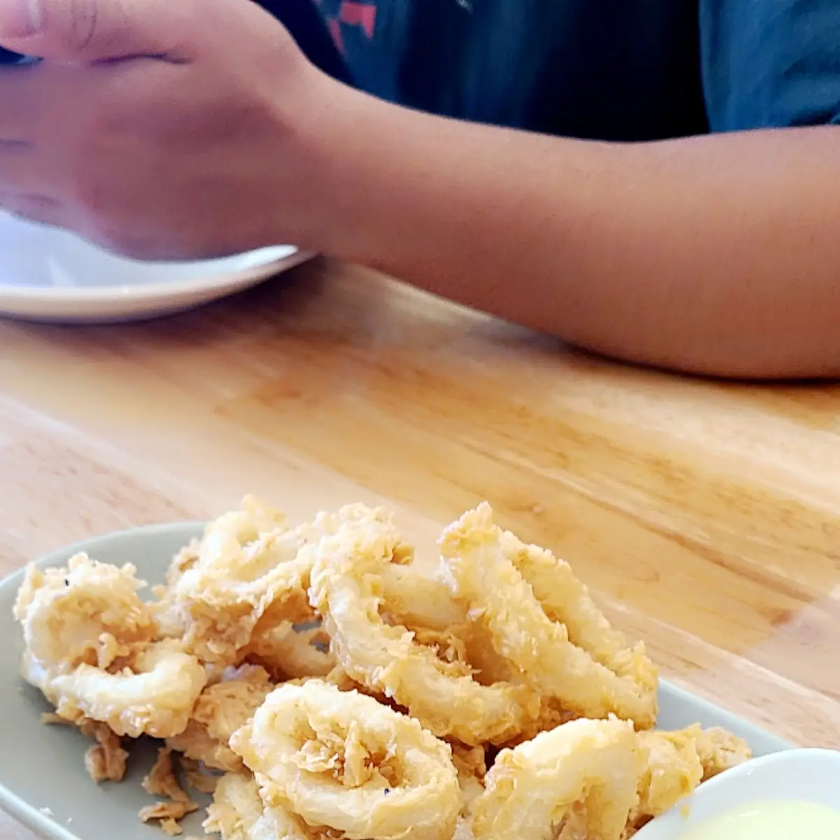 Fried Calamari Appetizer