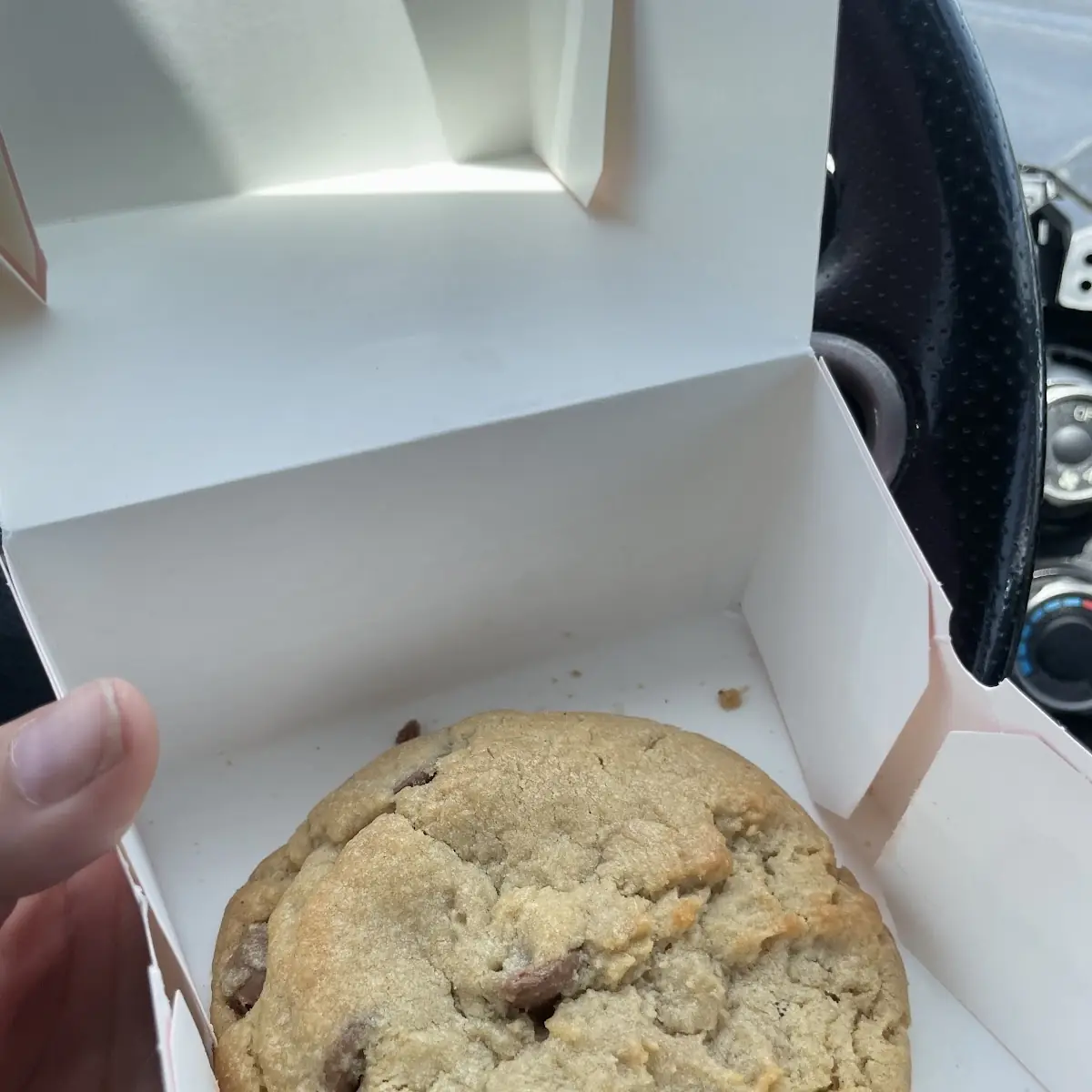 Chocolate Chip Cookie