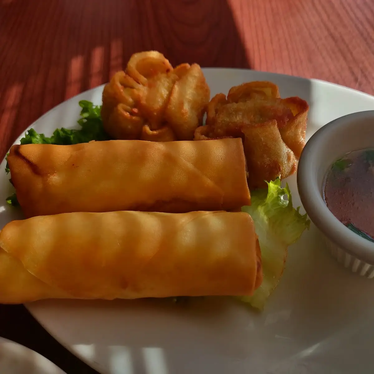 Spring Roll and Fried Chicken Dumplings in Wonton Wrapper