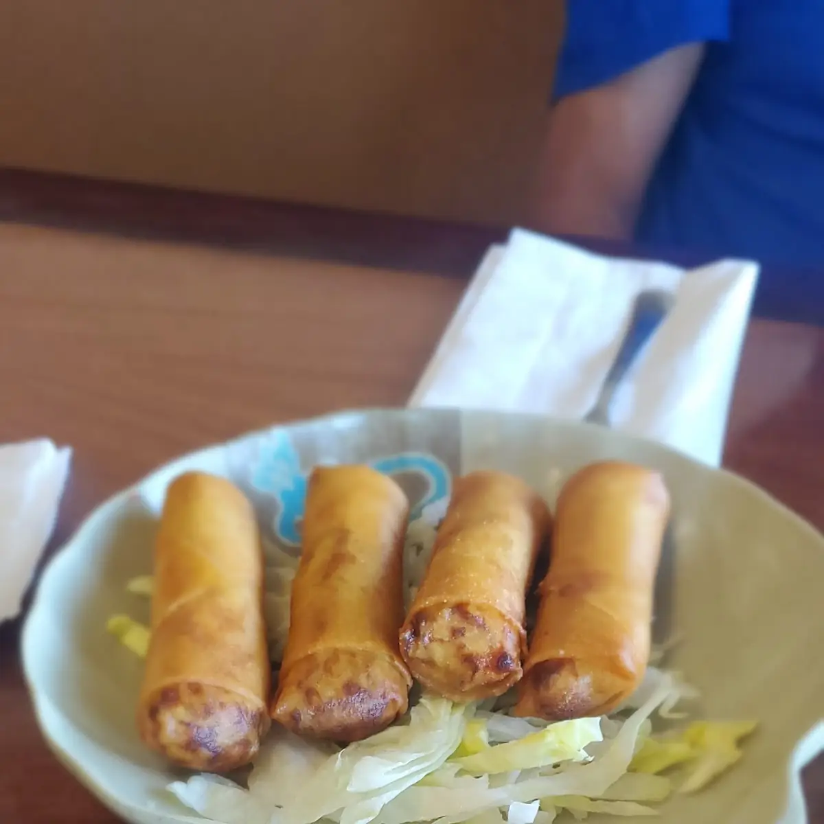 Vegetable Egg Rolls 2
