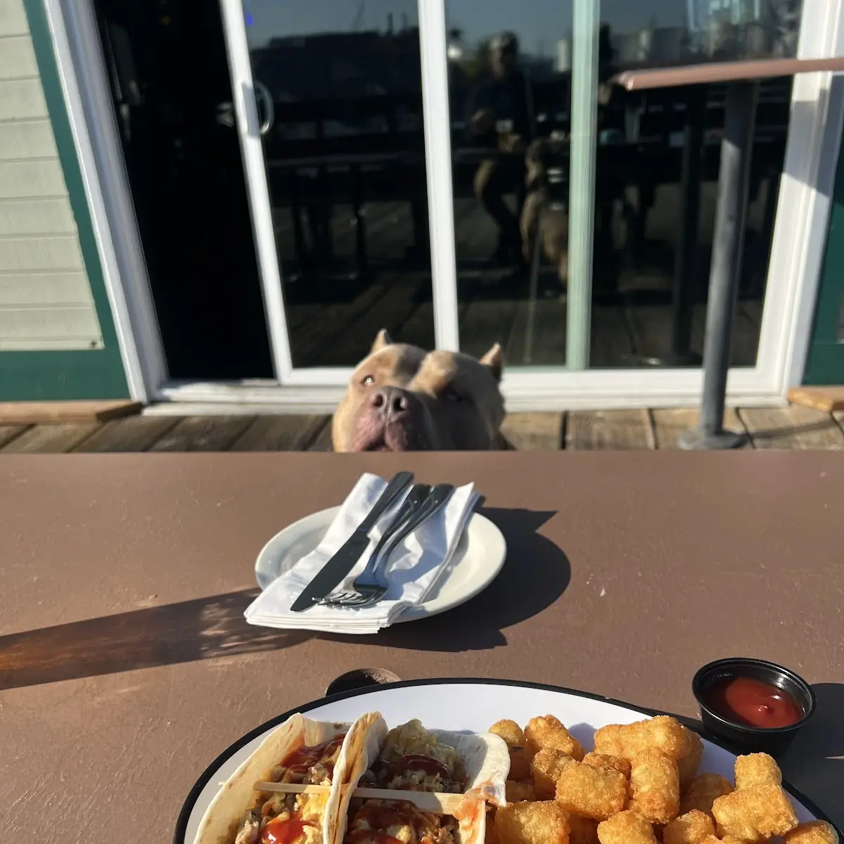Dock Street Tater Tots