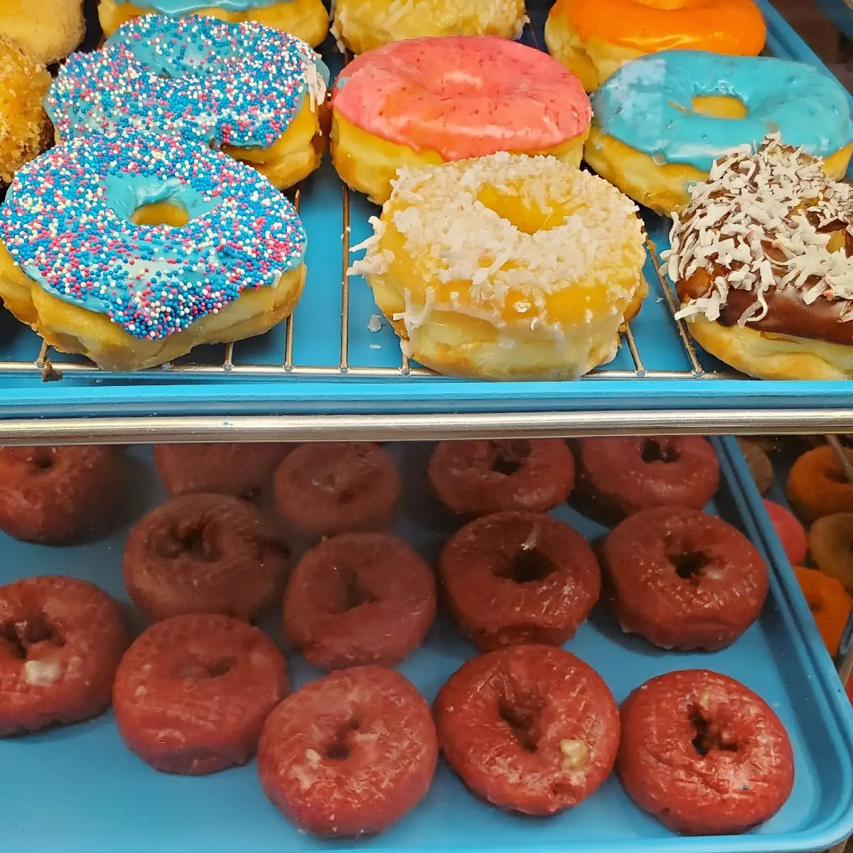 Doughnut