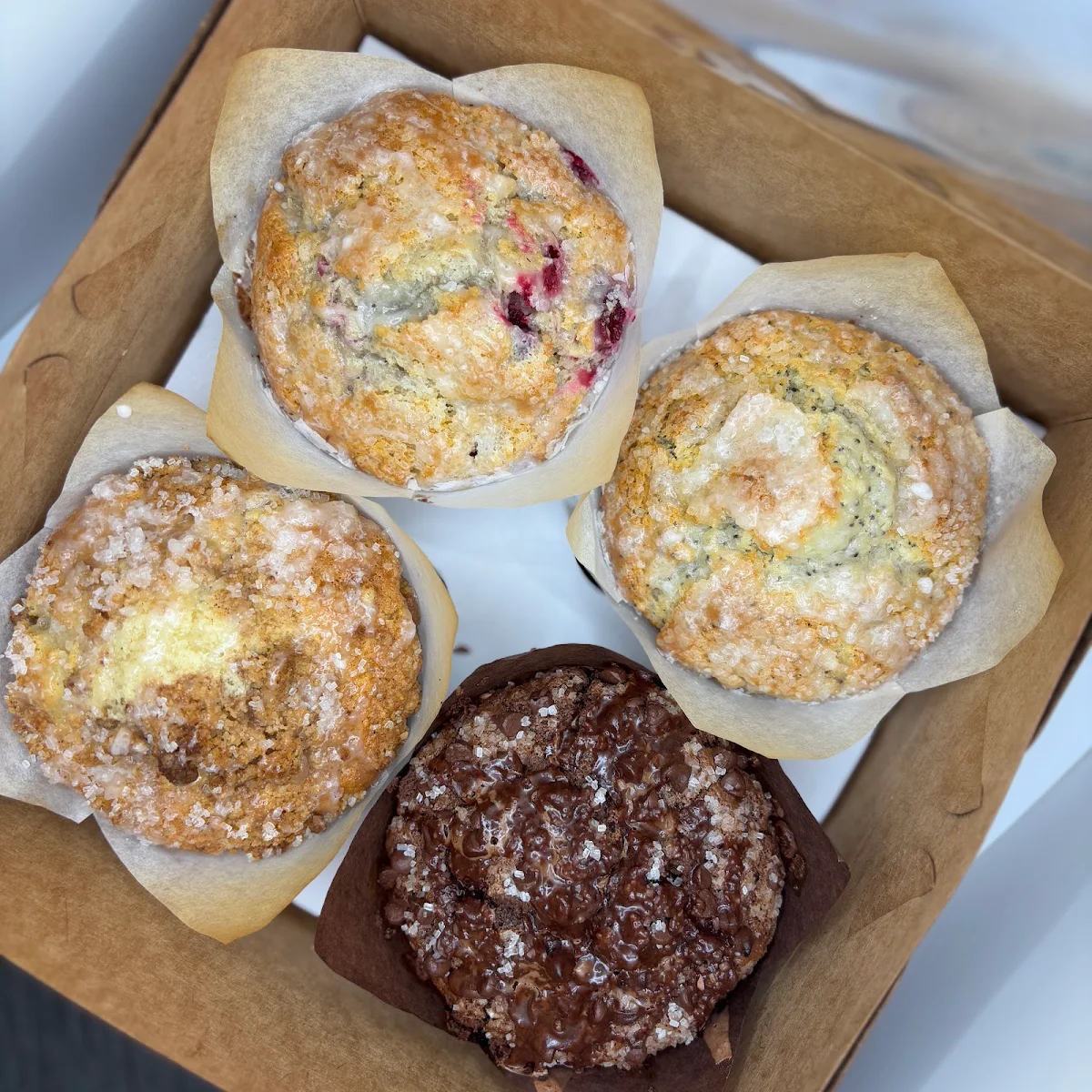 Lemon Poppy Seed Muffin