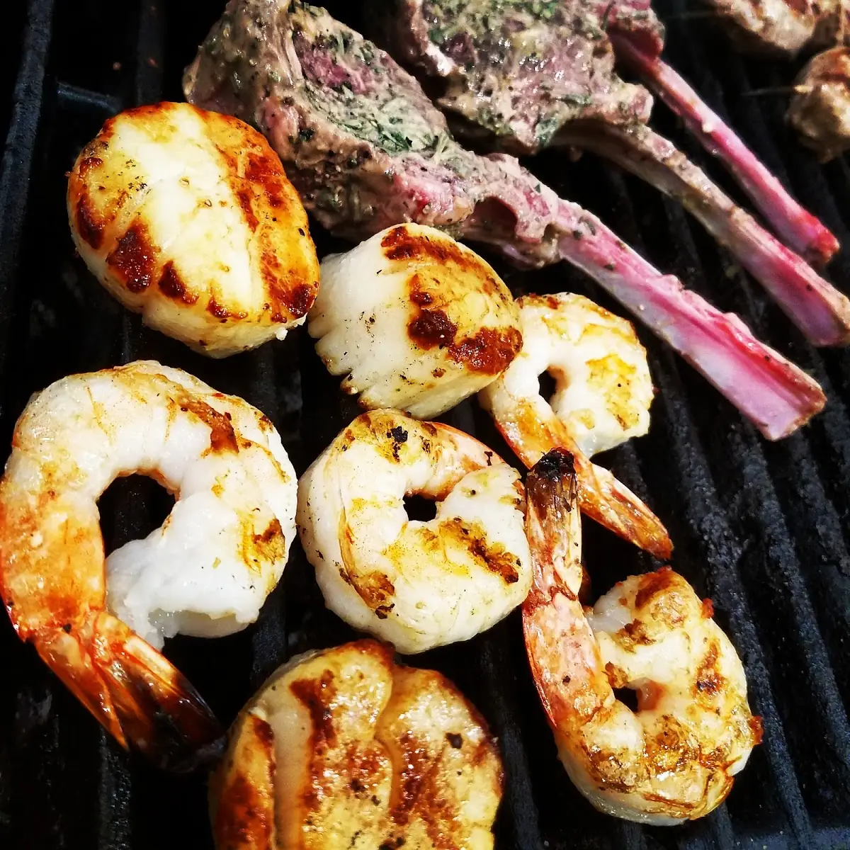 Shrimp Kabob Lamb Chops