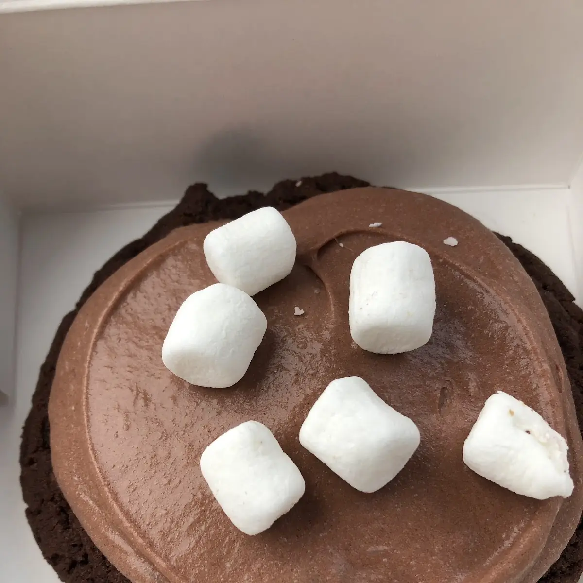 Frozen Hot Chocolate Cookie