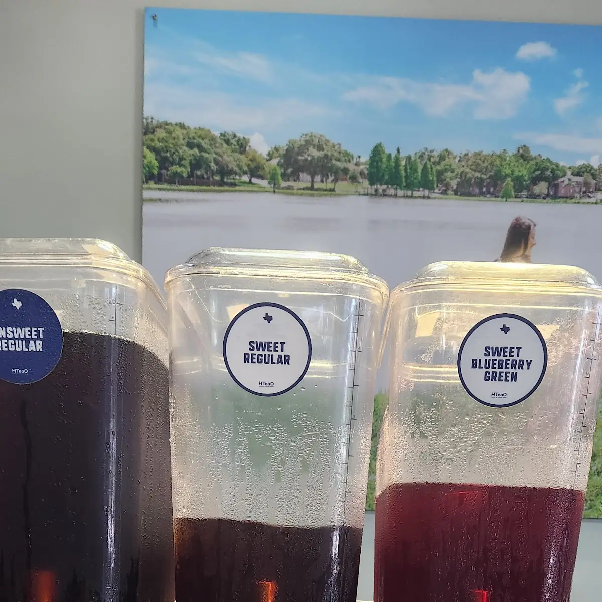 Cold Brew Iced Tea Dispensers