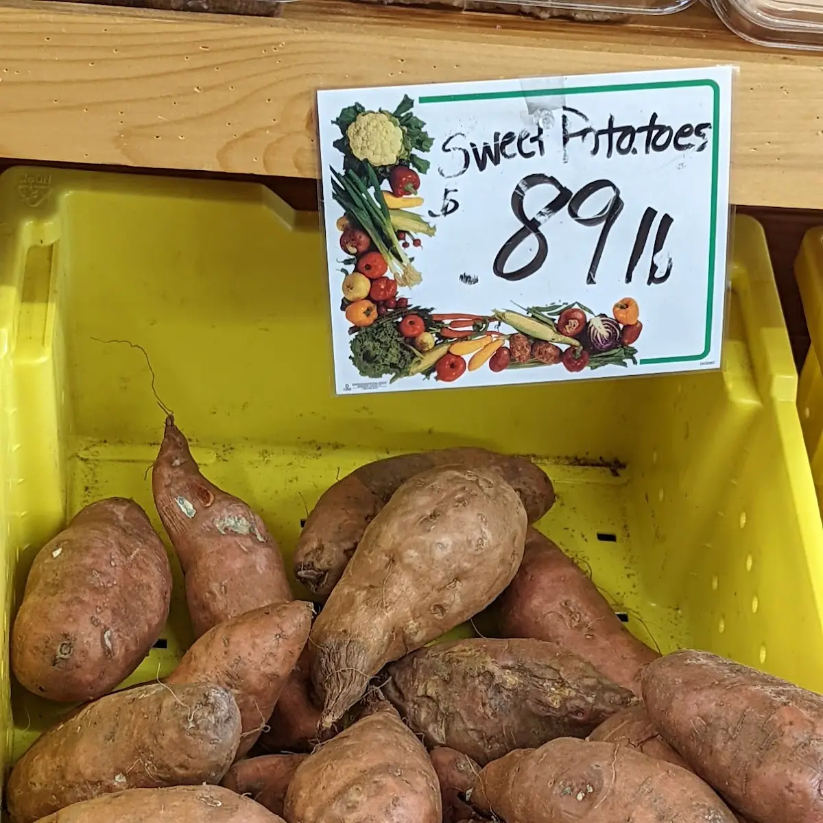 Sweet Potato