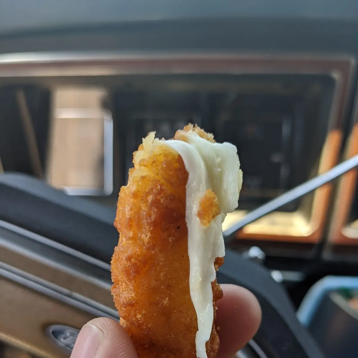 Mozzarella Sticks